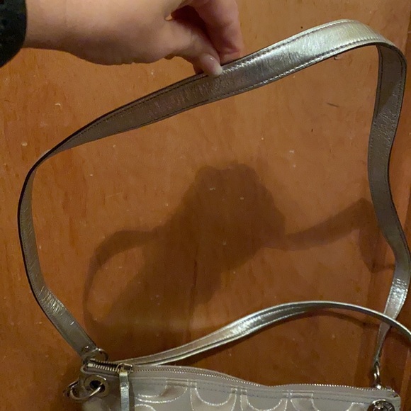 Silver Coach - Picture 6 of 11